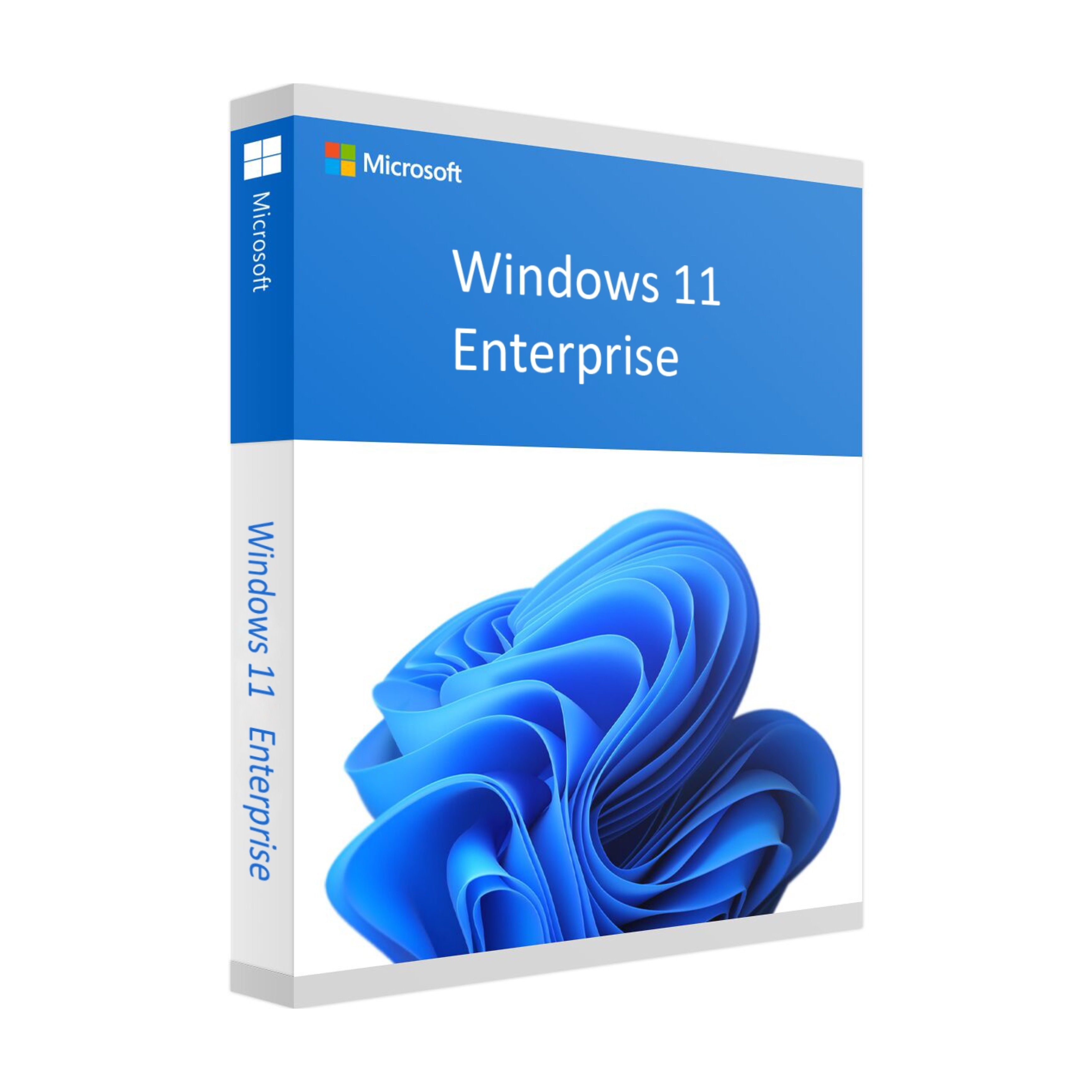 Microsoft Windows 11 Enterprise | 1 unidad
