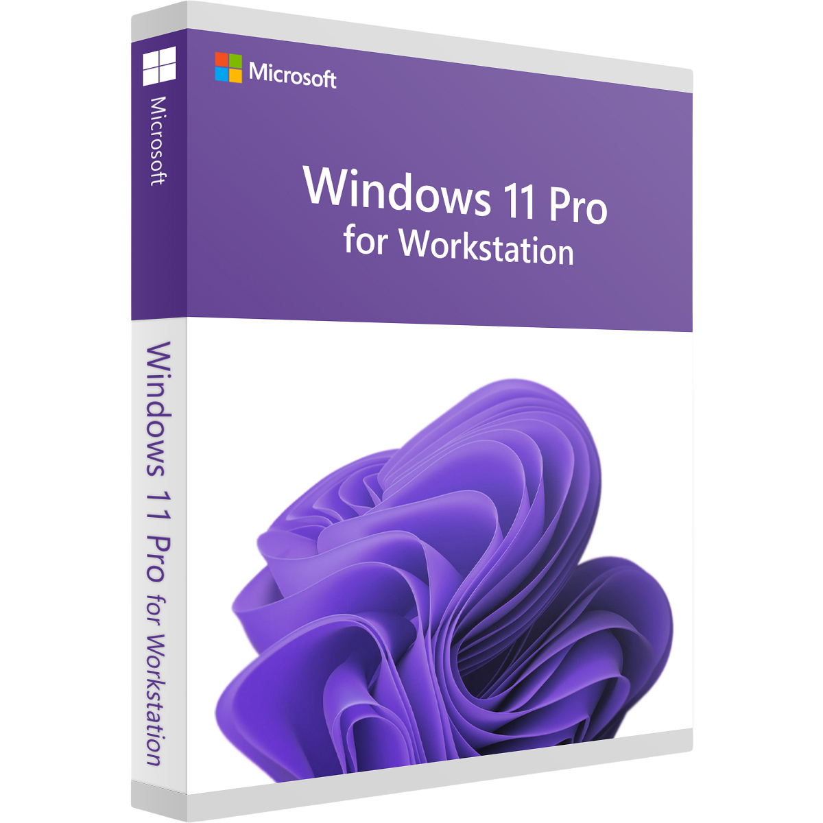 Microsoft Windows 11 Pro para estaciones de trabajo – Licencia permanente